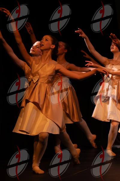 SHOW_00416.jpg